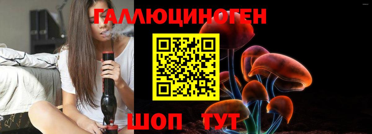 Гусиноозёрск  Галлюциногенные грибы GOLDEN TEACHER  Вход с VPN 